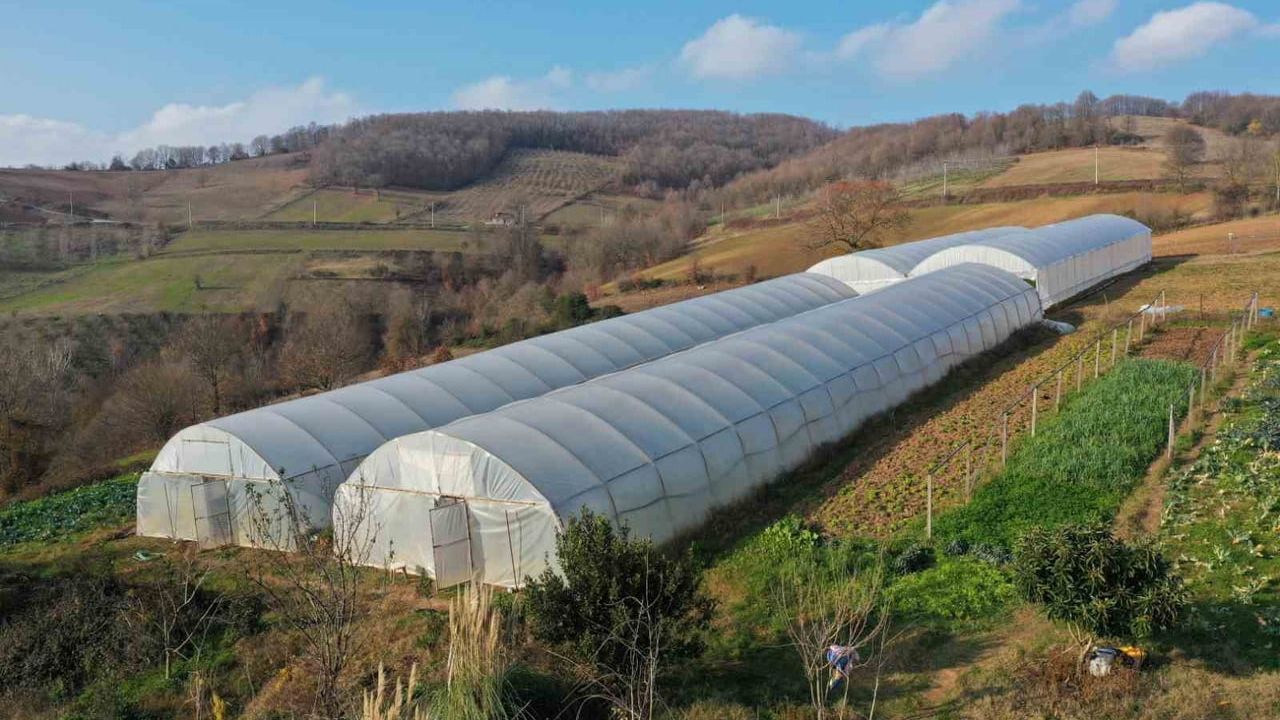 Kocaeli’de çiftçilere yüzde 50 hibeli anahtar teslim modern sera desteği