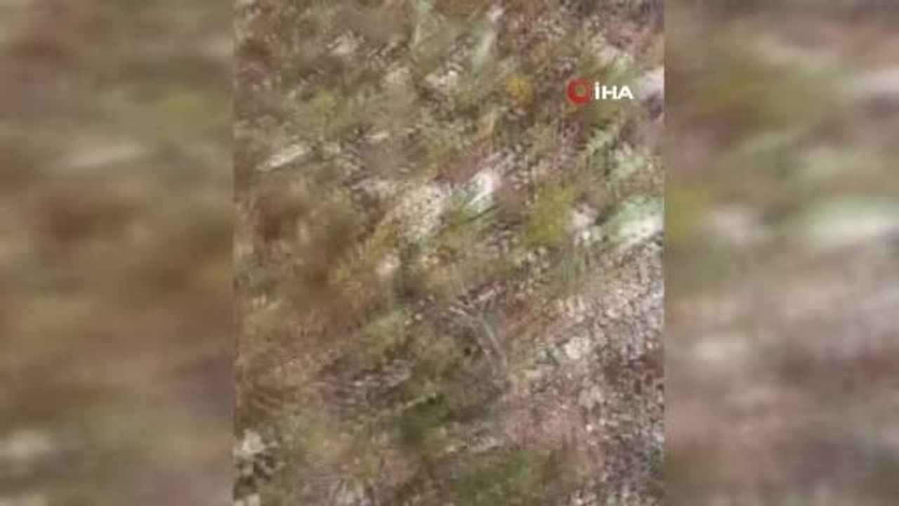 Konya'da 'Dolaman kurdu' Sait Alkış: Günde 35–40 kg topluyor, kilosu 1.500–1.700 TL