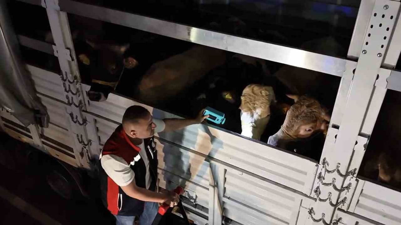 Kurban Bayramı Öncesi İstanbul'da Sevk Noktalarında Denetimler Başladı