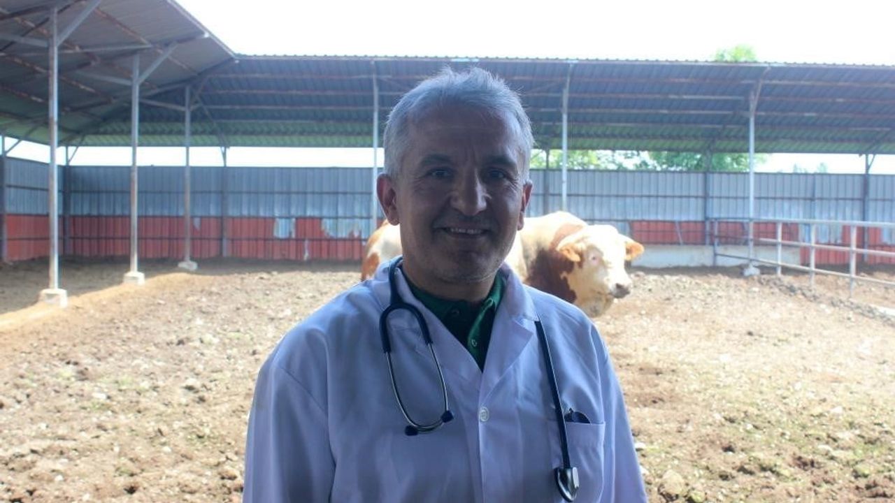 Kurbanlıklarda stres, besleme ve ayak sağlığına dikkat: Düzce Veterinerlerinden uyarı