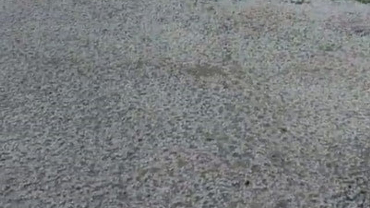 Malatya’da dolu, kayısı bahçelerinde hasara yol açtı