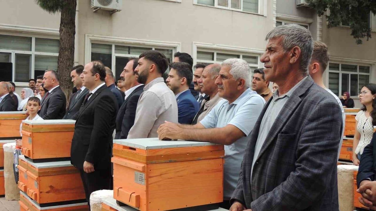 Mardin'de 8 bin kovan dağıtımı: 6 bin arılı, 2 bin geleneksel destek