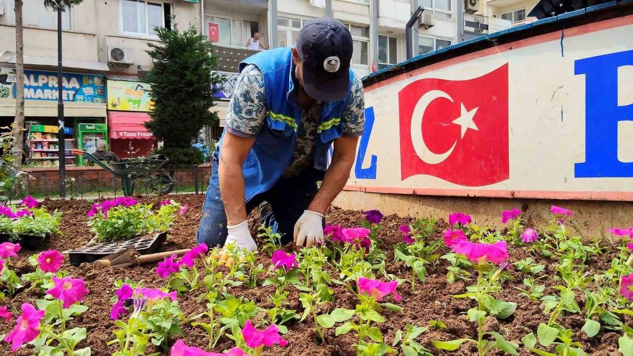 Mersin Akdeniz’de bahar hazırlığı: 50 bin mevsimlik çiçek ve 500 gül fidesi dikilecek