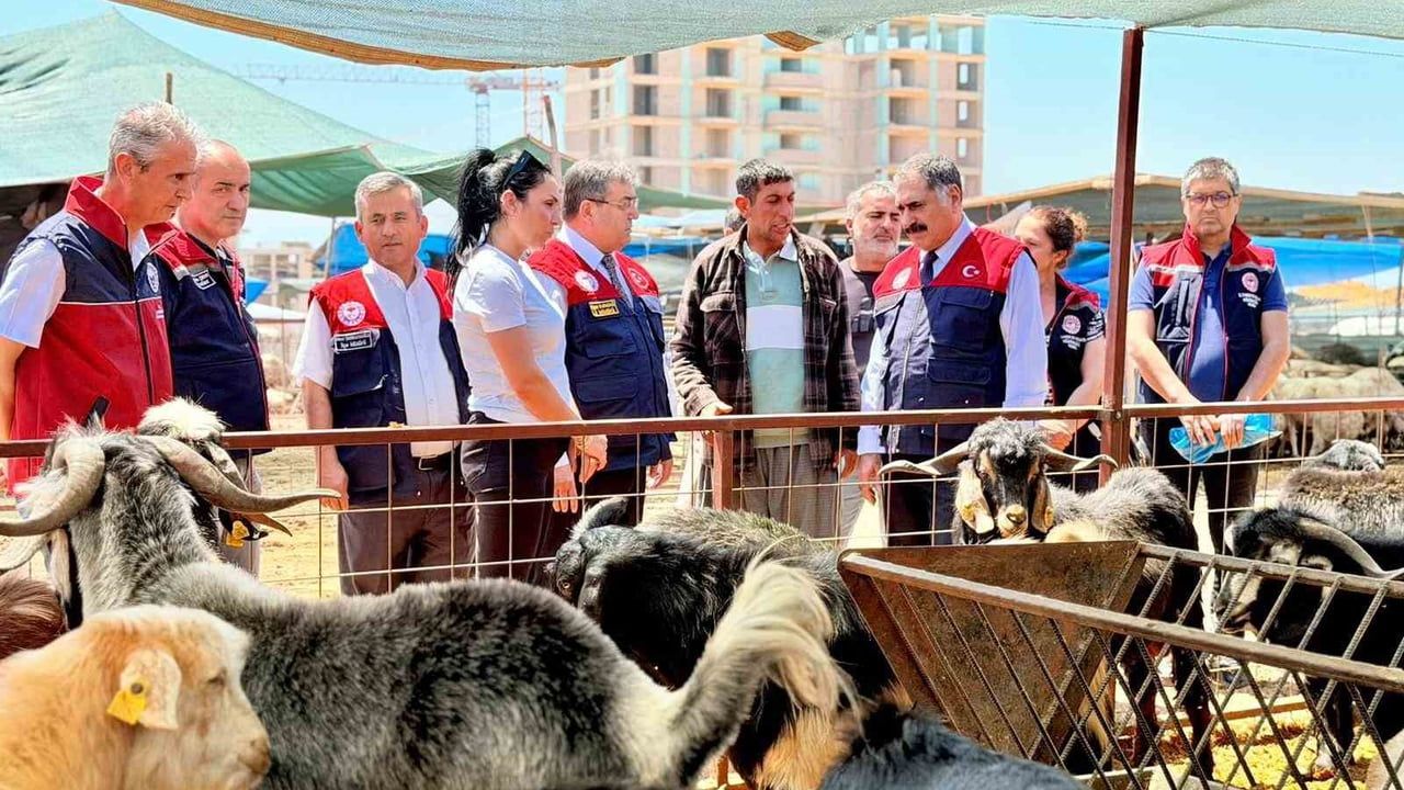 Mersin'de Kurban Bayramı öncesi kurbanlık satış noktalarında denetimler sürüyor