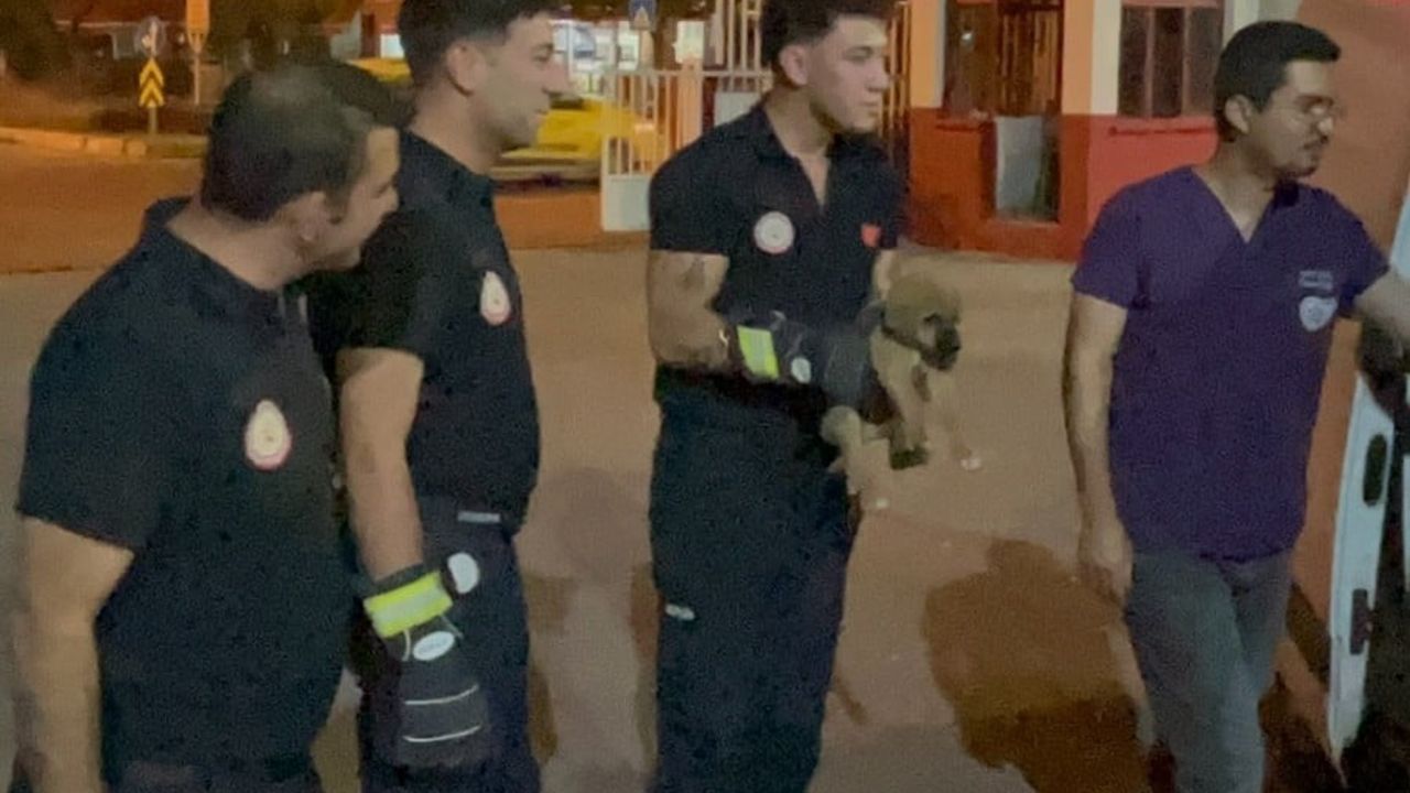 Mersin'de otomobil motoruna sıkışan yavru köpek itfaiye ekiplerince kurtarıldı