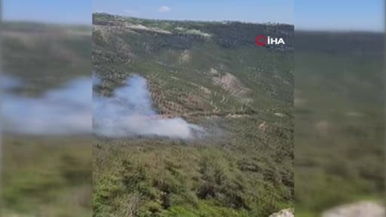 Mersin Erdemli'de orman yangını kontrol altına alındı