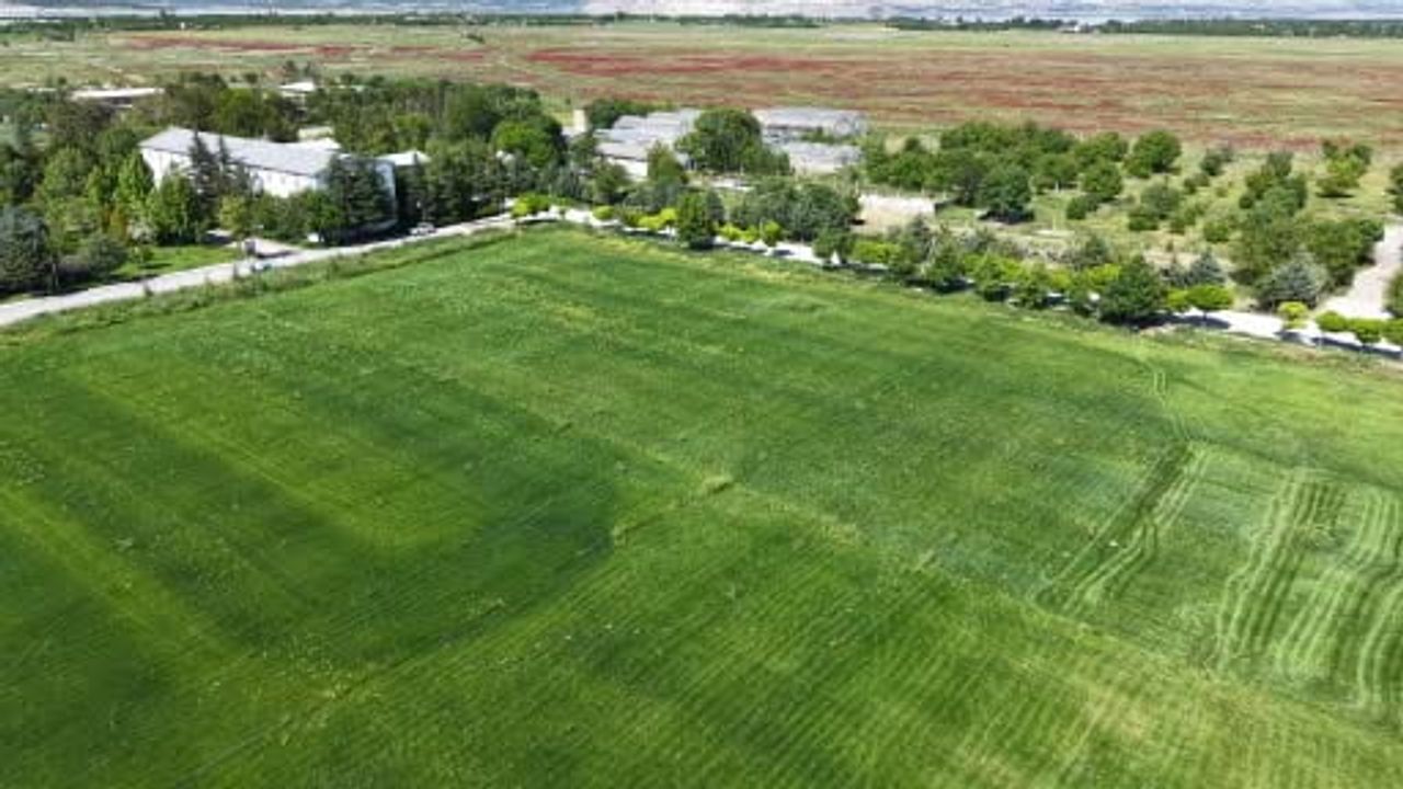 MTÜ Battalgazi MYO yılda yaklaşık 500 bin süs bitkisi üretiyor, deprem malzemeleriyle 400 m² sera kuruldu