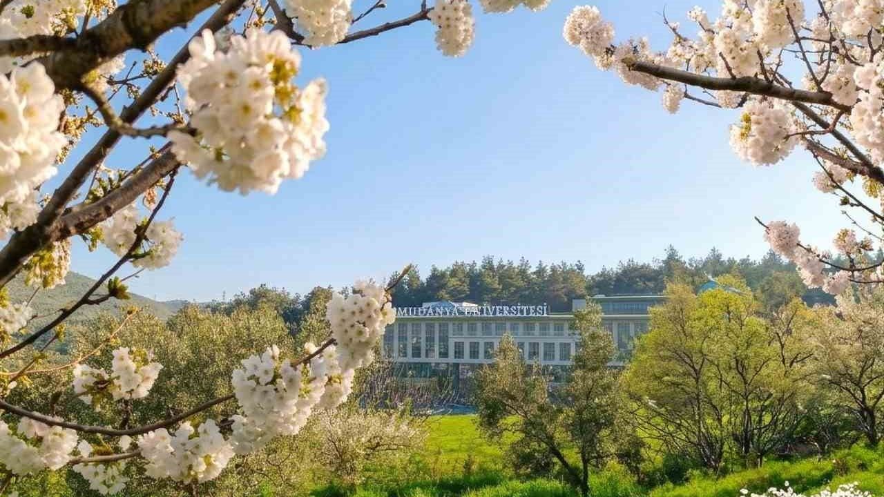 Mudanya Üniversitesi'ne 6 yeni bölüm onayı verildi, bölüm sayısı 38'e yükseldi