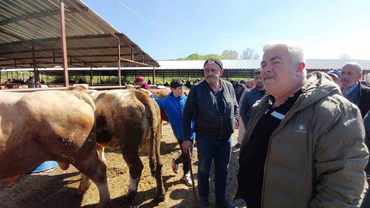 Mudurnu hayvan pazarında 704 kilogramlık dana 340 bin liraya satıldı