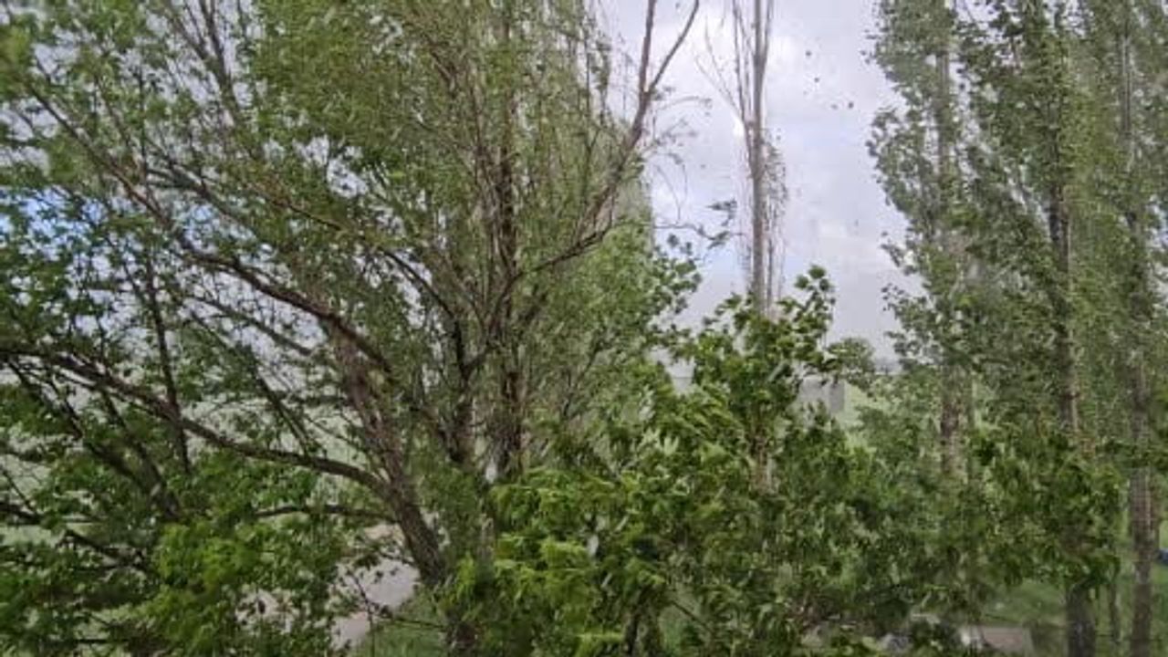 Muş Hasköy'de dolu yağışı nedeniyle minibüs yan yattı: 2 kişi hafif yaralandı