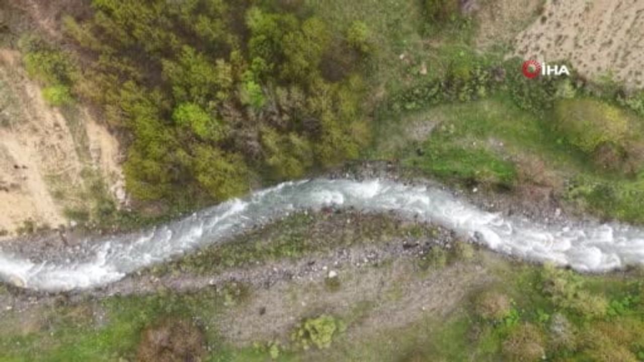 Muş'ta kaybolan Gülsima Yıldız için arama çalışmaları 4’üncü günde