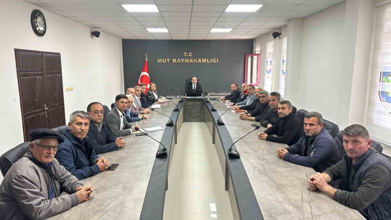 Mut'ta 2026 kayısı hasadı değerlendirildi: üretim, kalite ve pazarlama gündemde