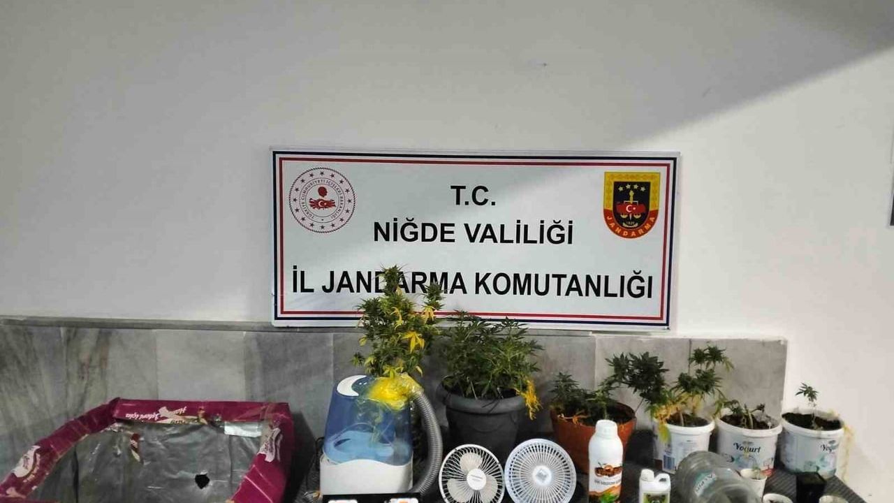 Niğde'de iklimlendirme sistemiyle kenevir yetiştirenlere jandarma operasyonu