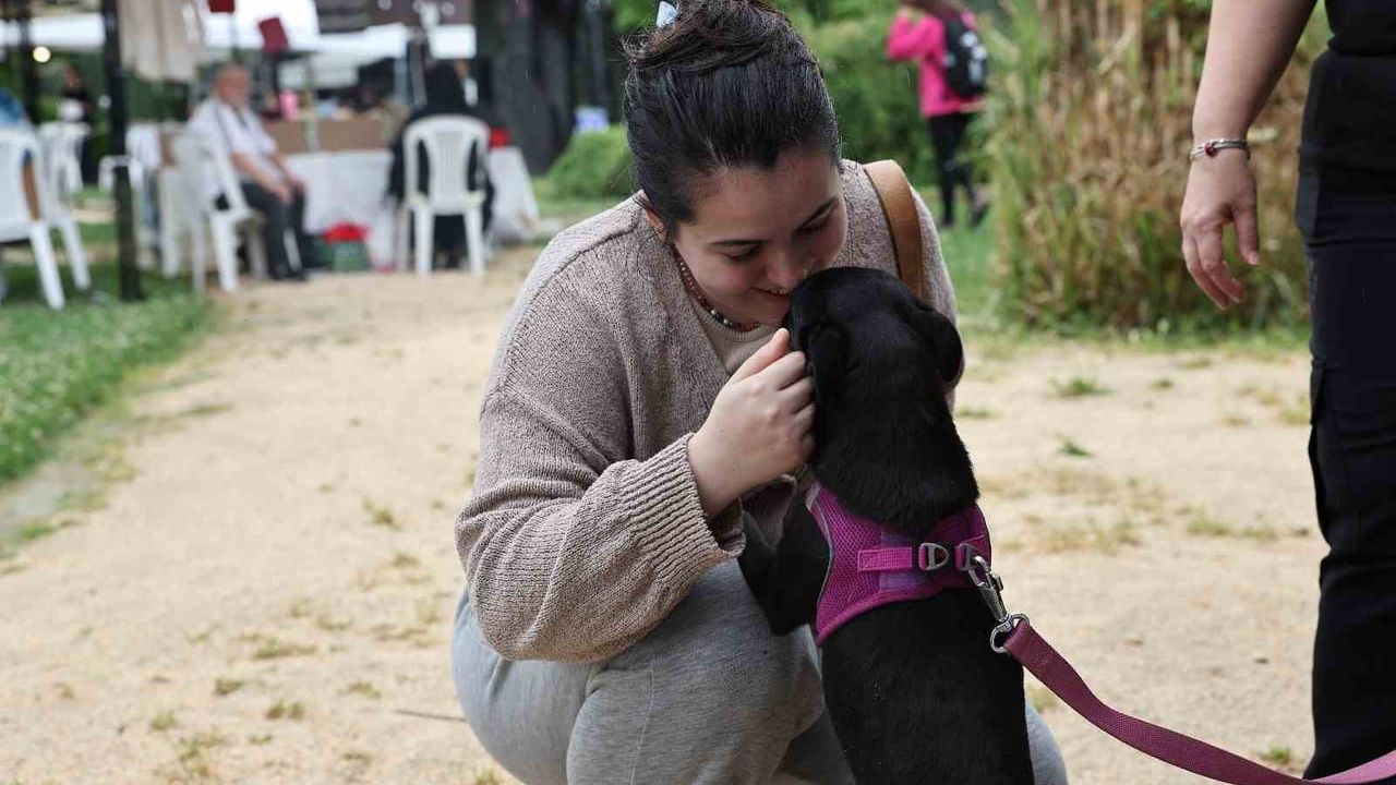 Nilüfer'de Sahiplendirme Şenliği: Koruma Altındaki Hayvanlar Yeni Yuvalarına Kavuştu