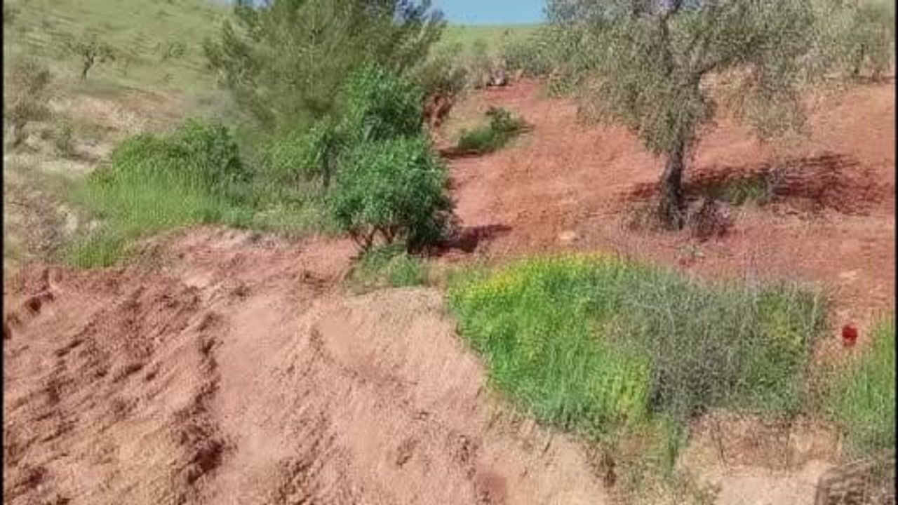 Nizip'te traktörün devrilmesi: 55 yaşındaki çiftçi hayatını kaybetti