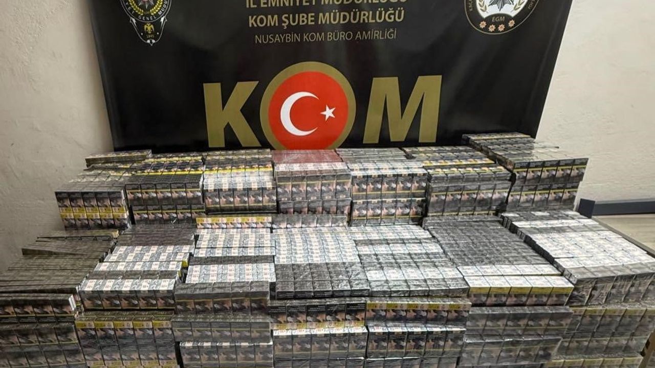 Nusaybin'de durdurulan araçta 7 bin 100 paket kaçak sigara ele geçirildi