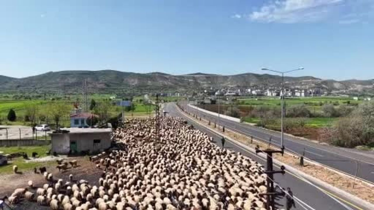 Nusaybin'den yaylalara: Göçerlerin Gercüş üzerinden süren yolculuğu dronla görüntülendi