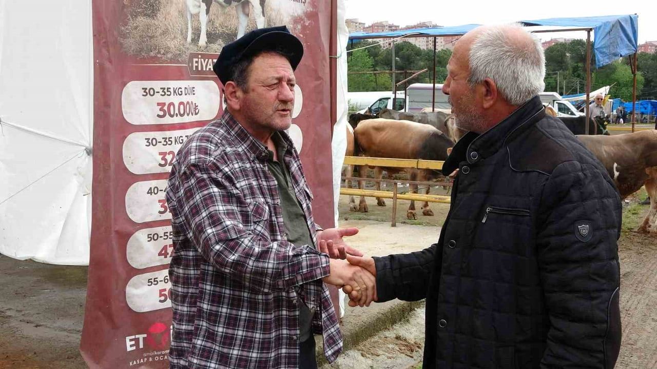 Ordu'da besiciler kurbanlık satışı için gurbetçilerin gelmesini bekliyor