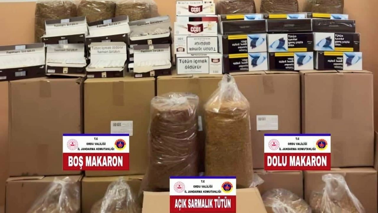 Ordu'da son bir haftada jandarma operasyonları: 31 yakalama, 19 tutuklama