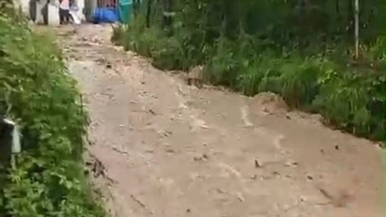 Ordu Korgan'da aşırı yağış: Tepealan Mahallesi'nde ev içinden balkona doğru akan sel