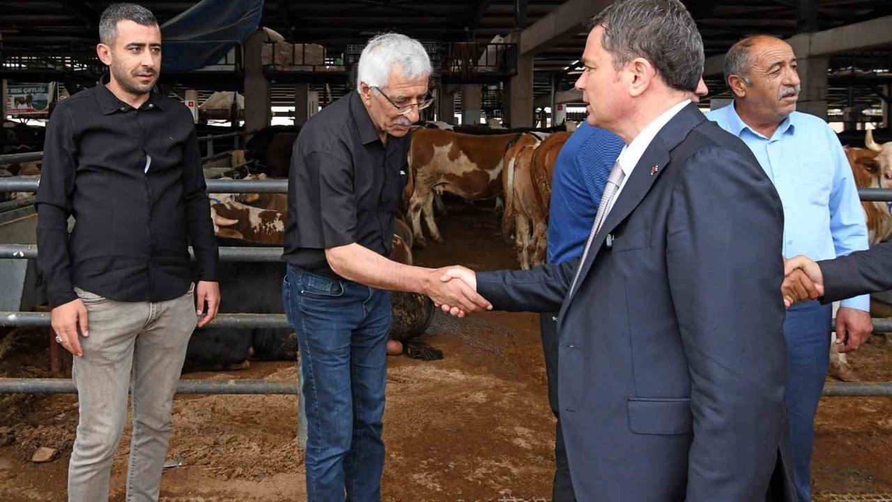 Osmangazi’de Kurban Satış ve Kesim Alanları Bayrama Hazır