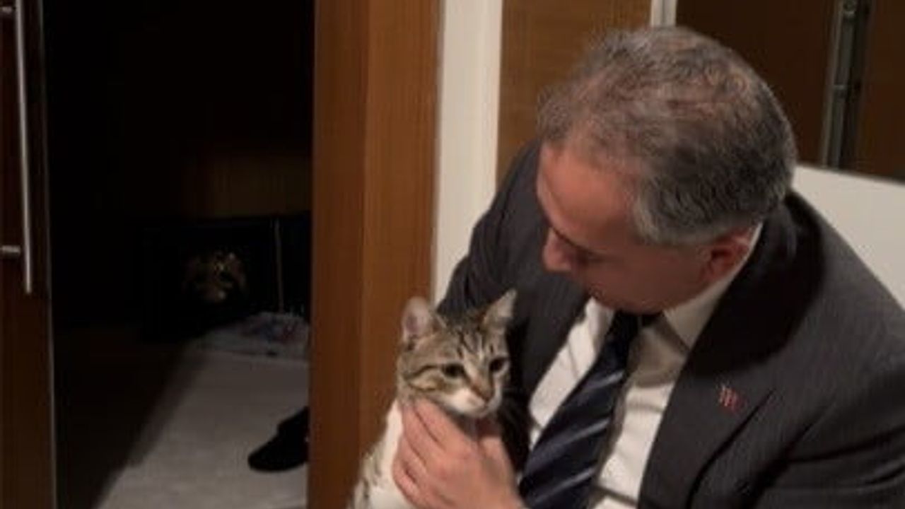 Osmaniye Belediye Başkanı İbrahim Çenet'in Kedisi 'Fred' Kapıyı Açtı, Paylaşım Sosyal Medyada İlgi Gördü