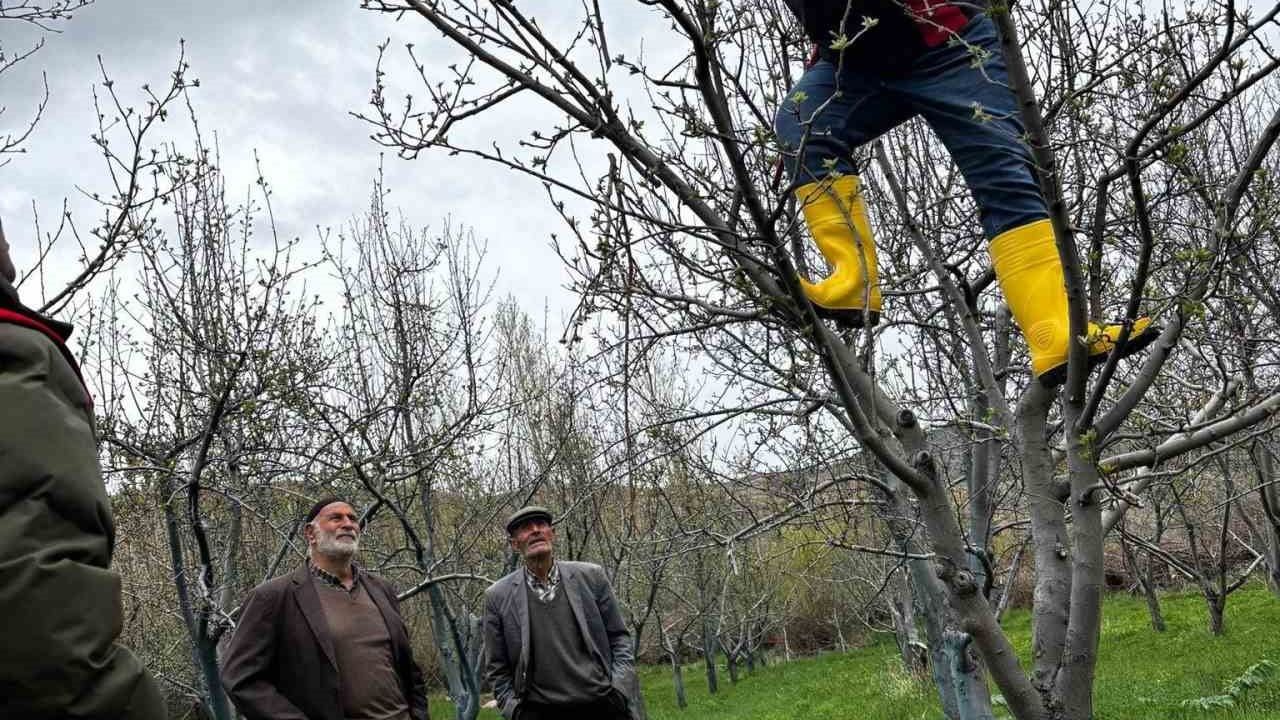 Otlukbeli’de Üreticilere Meyve Ağaçlarında Budama Eğitimi