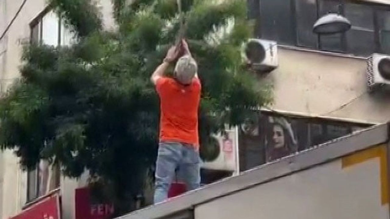 Pendik'te elektrik tellerine takılan martı vatandaşların müdahalesiyle kurtarıldı