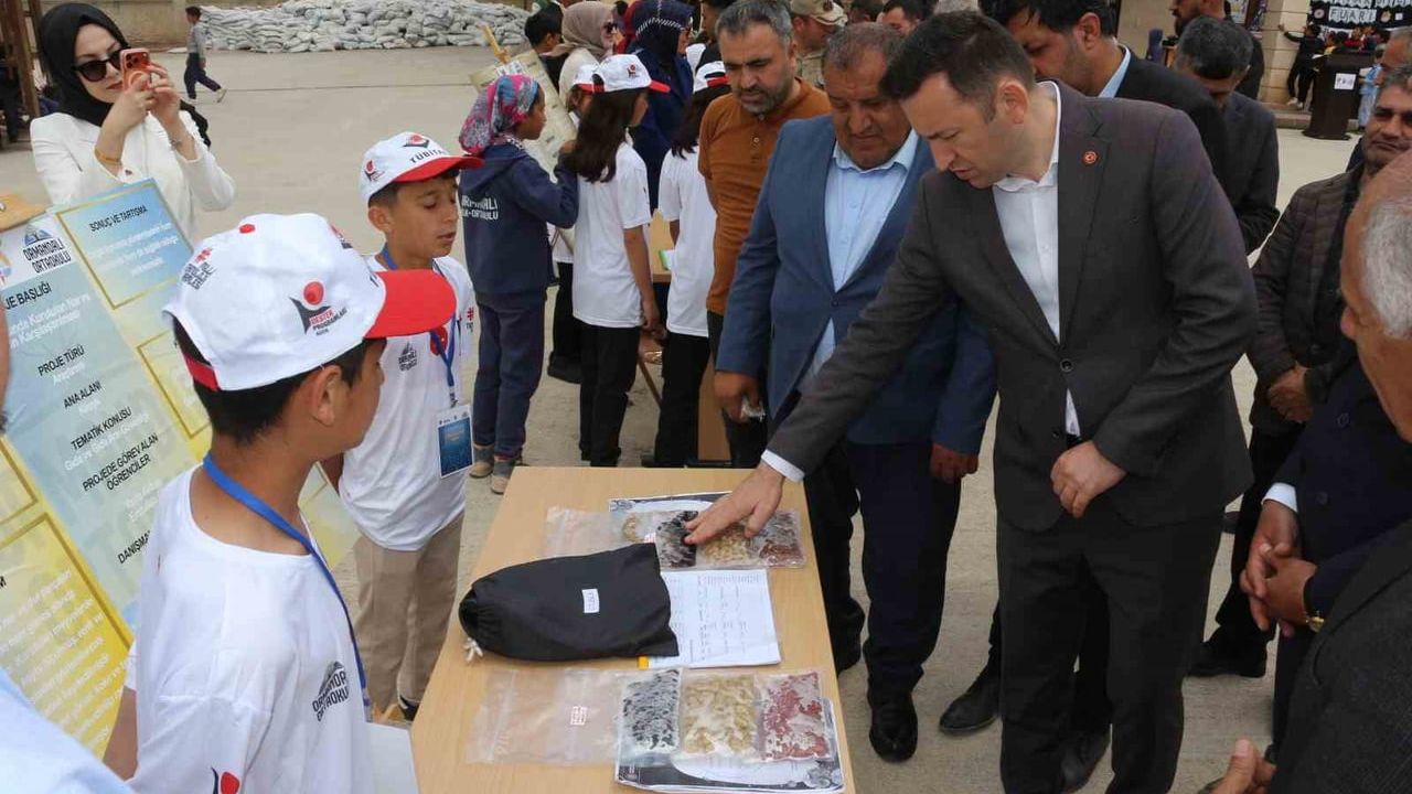 Pervari'de TÜBİTAK 4006-A Bilim Fuarı: Ormandalı'nın yerel değerleri sergilendi