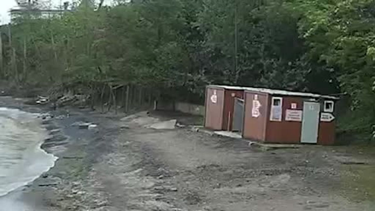 Piraziz'de kediye çarpmamak için manevra yapan araç Eğrice Plajı'na uçtu: 4 yaralı