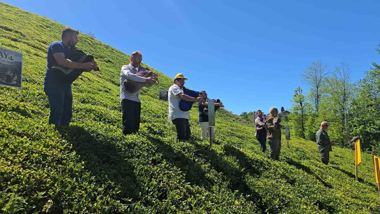 Rize Ardeşen'de 'Bir Yaprakla Başlar' sloganıyla çay sezonu açıldı