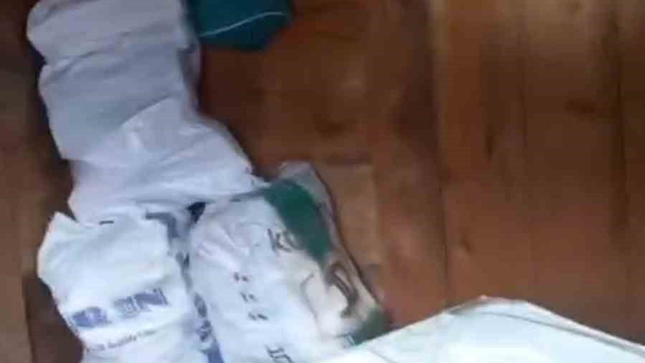 Rize Kavrun Yaylası'nda yaylacı, eve giren ayıya 'Aç kapıyı gir, zarar verme' diyerek anahtarın yerini tarif etti