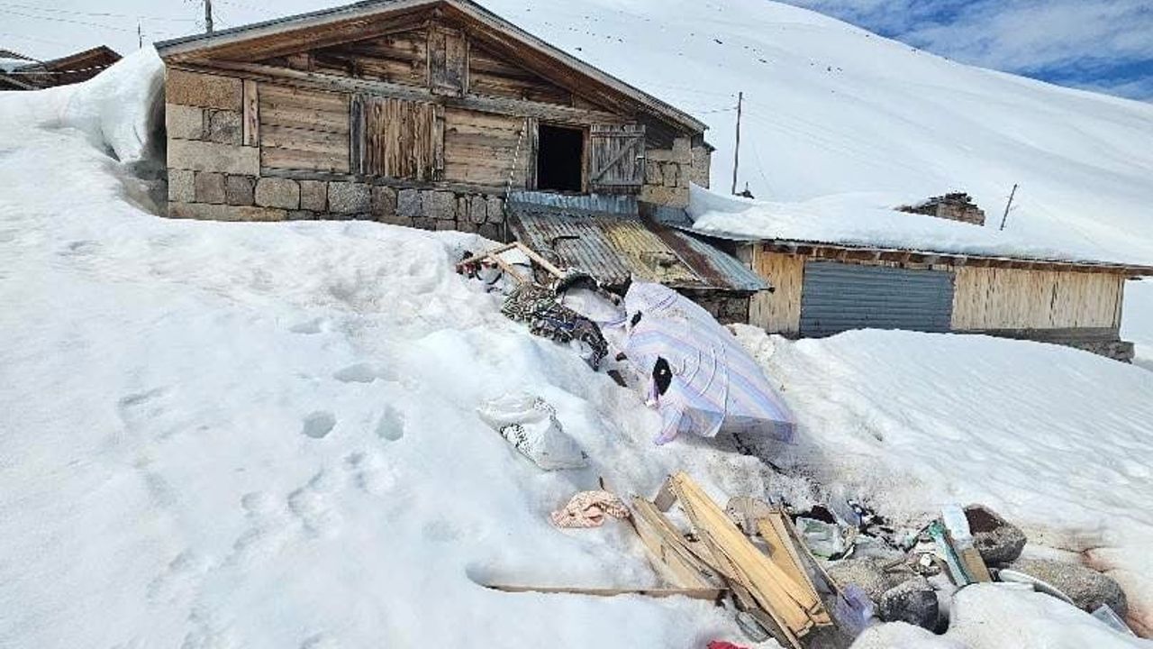 Rize’nin Hemşin Trovit Yaylası’nda boz ayı yayla evlerine zarar verdi, dronla görüntülendi