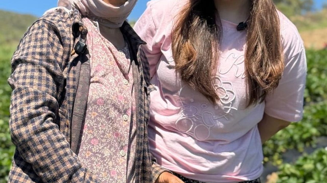 Salihli'de genç gönüllüler 'Bizimle Üretime Katıl' kapsamında Gökeyüp Mahallesi'nde çilek hasadı yaptı