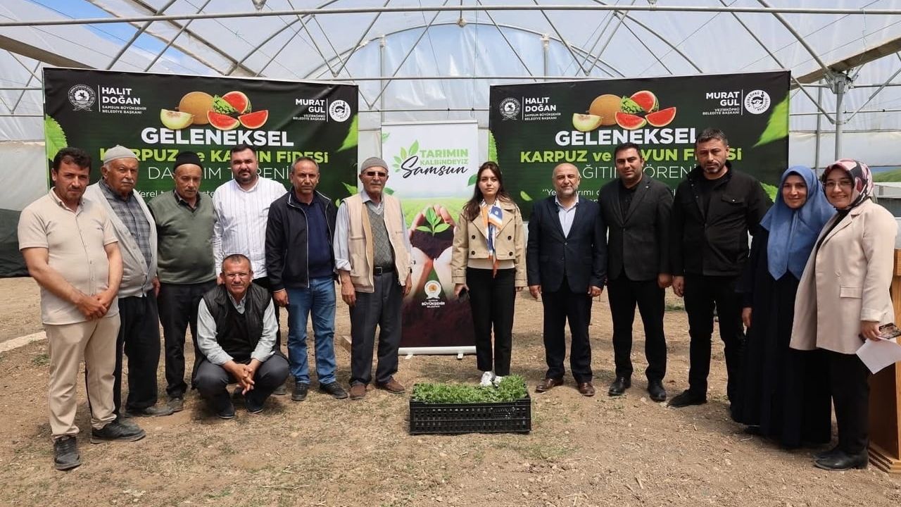 Samsun Büyükşehir Belediyesi, Vezirköprü'de 120 bin fideyi çiftçilere ücretsiz dağıttı