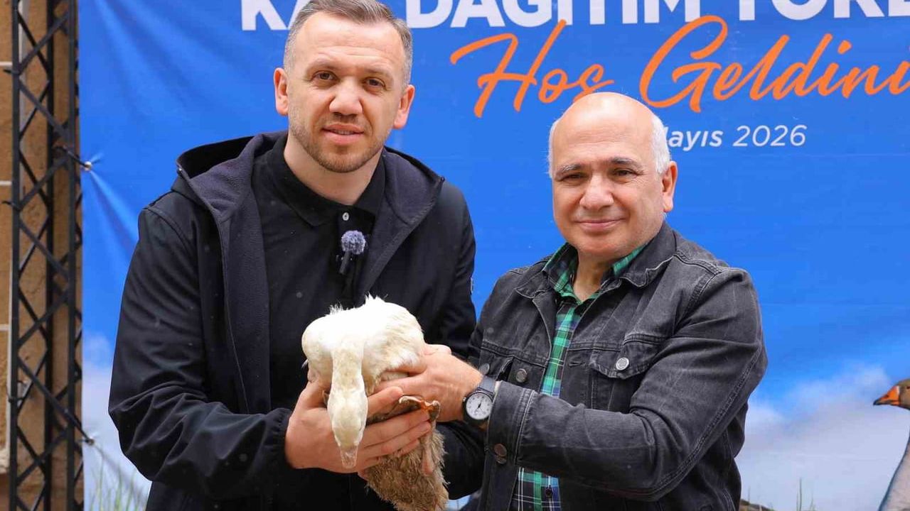 Samsun Büyükşehir’den Üreticilere Yüzde 50 Hibeli 930 Kaz Palazı Desteği