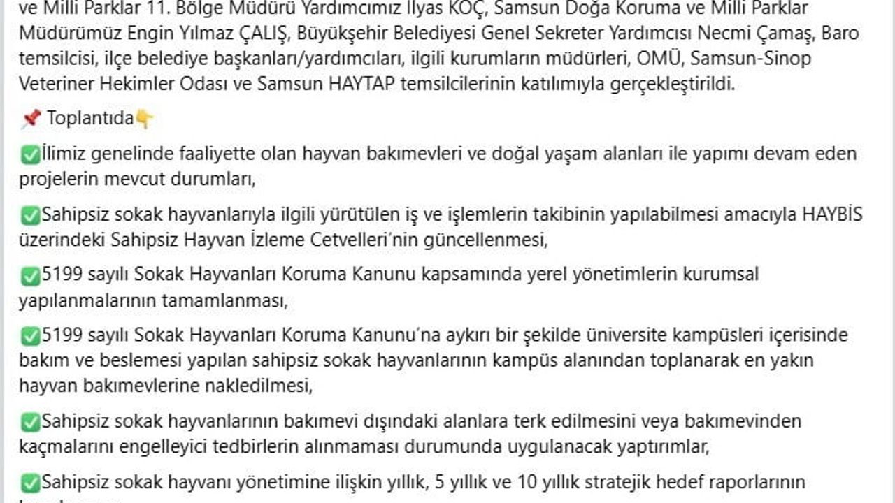 Samsun’da 10 ilçede hayvan barınağı yok: İl Hayvanları Koruma Kurulu verileri