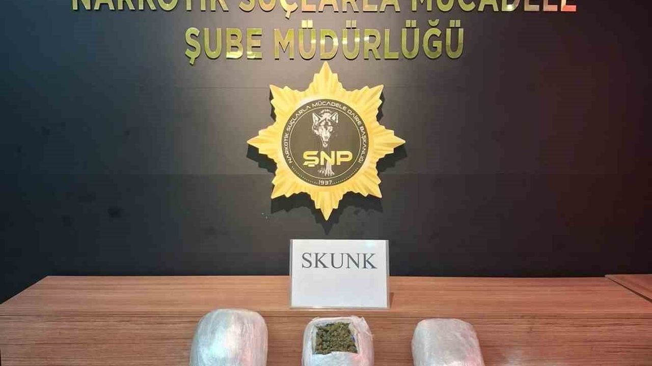 Şanlıurfa'da iki operasyonda 6 kilo 800 gram skunk ele geçirildi, 4 kişi gözaltında