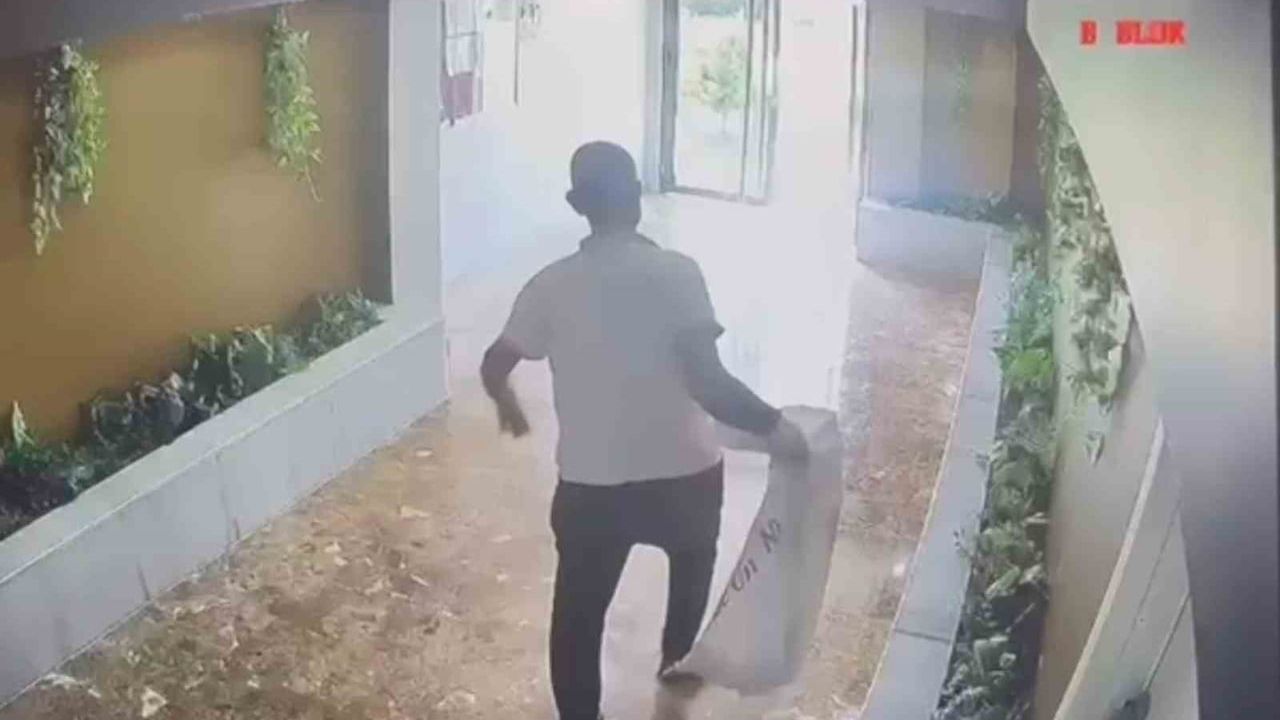 Şanlıurfa'da kaybolan 3 yavru kedi sonrası güvenlik kamerası kaydı görevliyi işaret etti, şikayet yapıldı