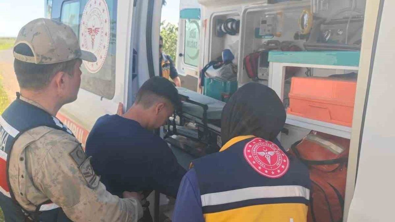 Şanlıurfa'da kayıp 16 yaşındaki çocuk fıstık bahçesinde bulundu