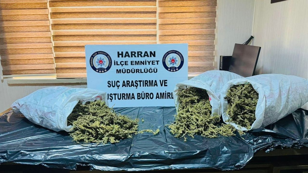Şanlıurfa Harran'da 8 kilo 240 gram uyuşturucu ele geçirildi; 1 kişi tutuklandı