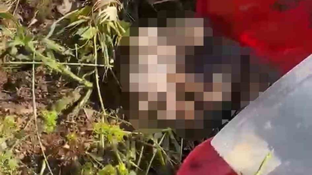 Şanlıurfa Yeni Asri Mezarlığı'nda Bidon İçinde 21 Ceninin Bulunmasıyla İlgili Soruşturma