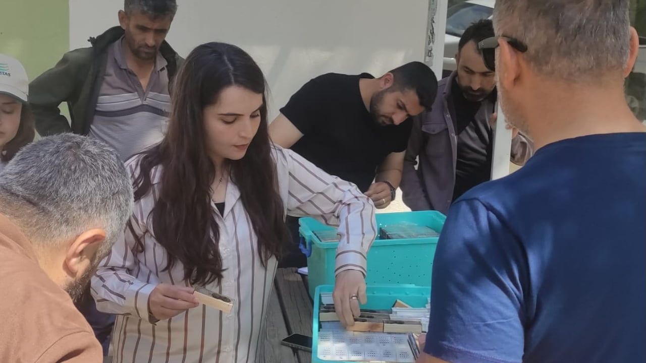 Sason'da 323 üreticiye yüzde 80 hibeli 3 bin 911 ana arı dağıtıldı