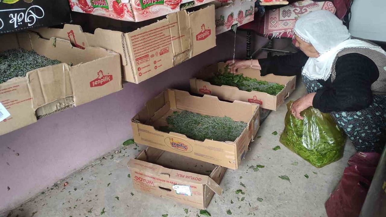 Sason'da 72 Aileye İpek Böceği Larvası Dağıtıldı; Hedef 300 Aile