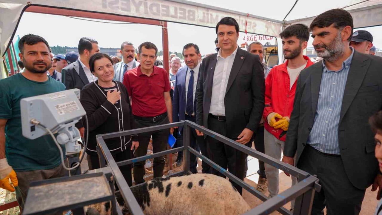 Şehitkamil’de Kurban Bayramı hazırlıkları tamamlandı: Satış ve kesim alanları hazır