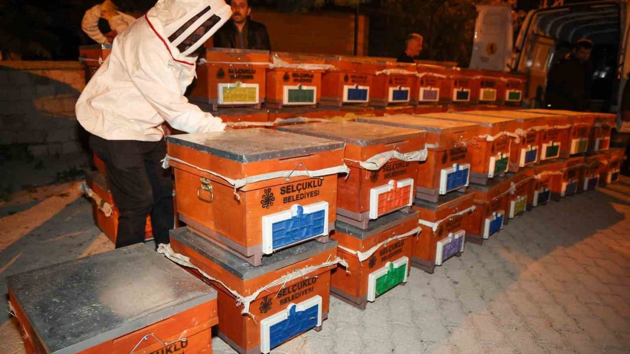 Selçuklu Belediyesi Arılı Kovan Desteği 4. kez uygulandı: 277 çiftçiye 1.352 kovan teslim edildi