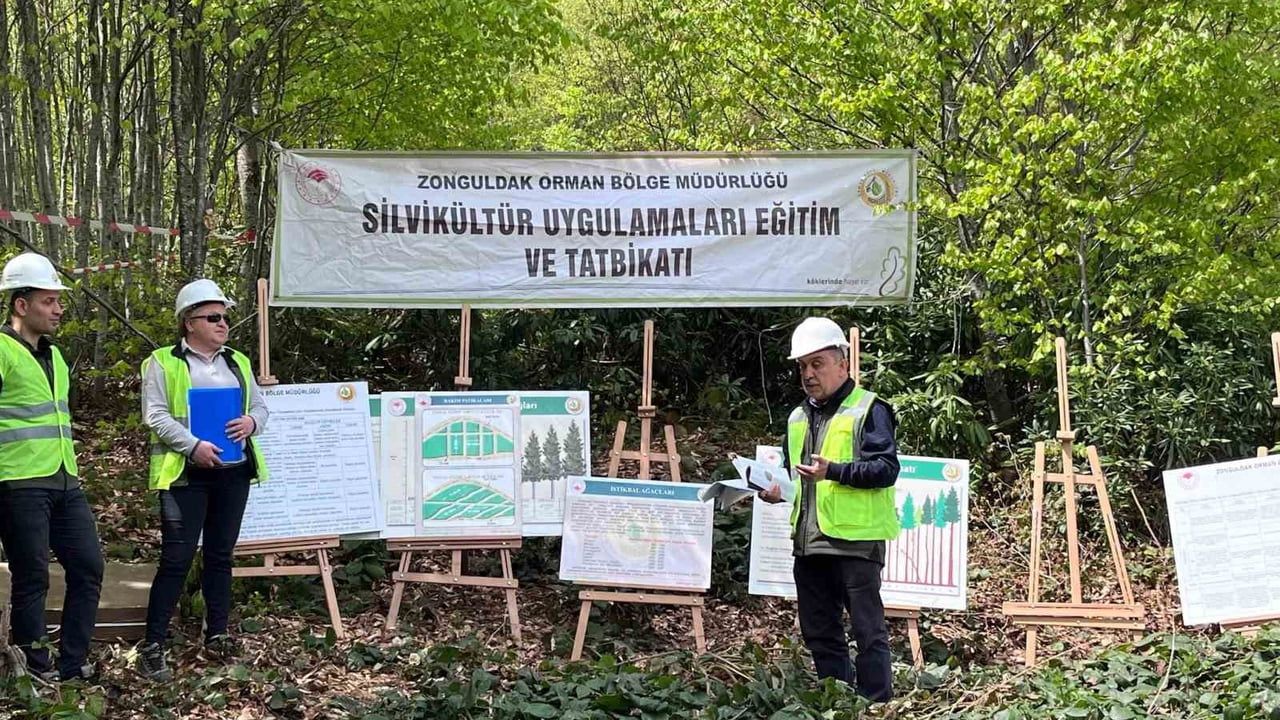 Silvikültür Uygulamaları Eğitim Tatbikatı Yenice’de Tamamlandı