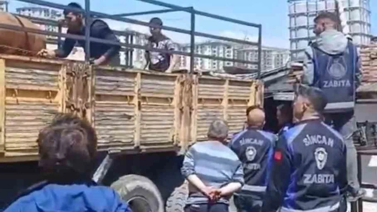 Sincan Belediyesi Saraycık Mahallesi'nde ruhsatsız ahırlara müdahale etti