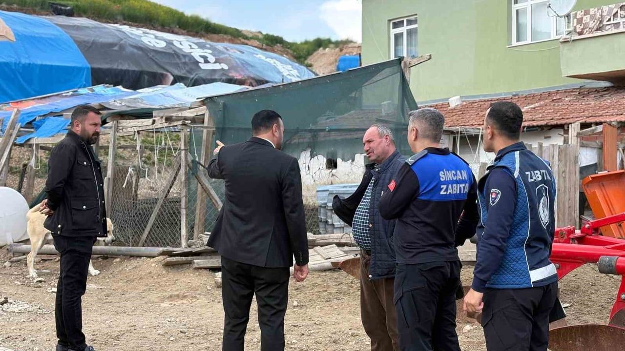 Sincan'da ruhsatsız hayvancılık denetimleri sırasında satıcılarla zabıta arasında gerginlik