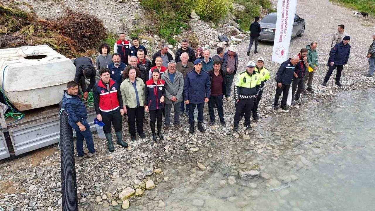 Sinop’un Gerze ilçesinde 2 bin mersin balığı Karadeniz’e salındı